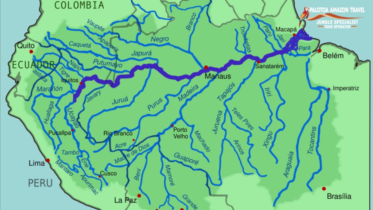 total river in amazon rainforest