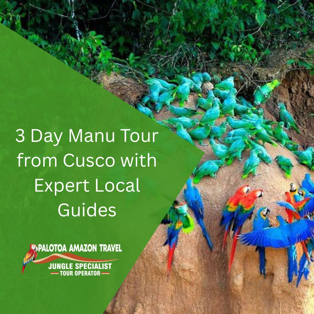 3 day Manu tour from Cusco