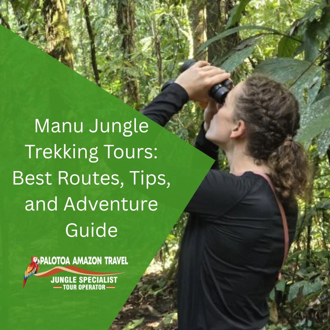 Manu jungle trekking tours