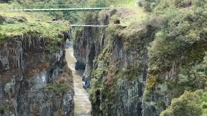 Manu National Park tour