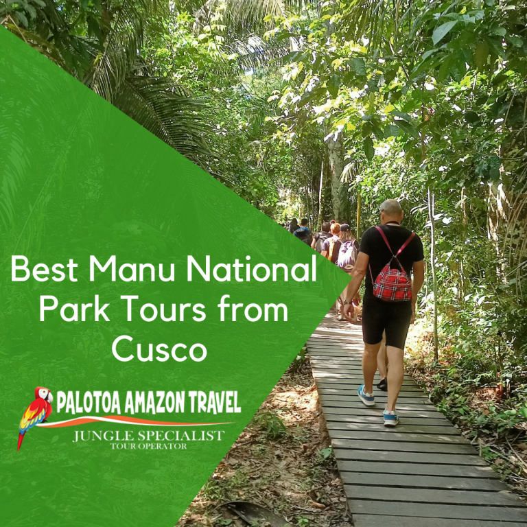 Best Manu National Park Tours from Cusco - Book Now - Palotoa Amazon