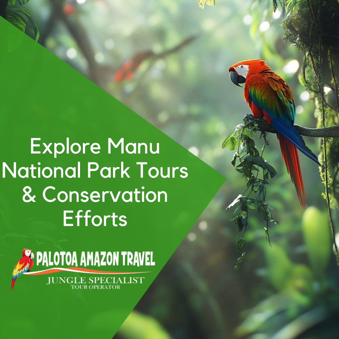 Manu National Park Tours