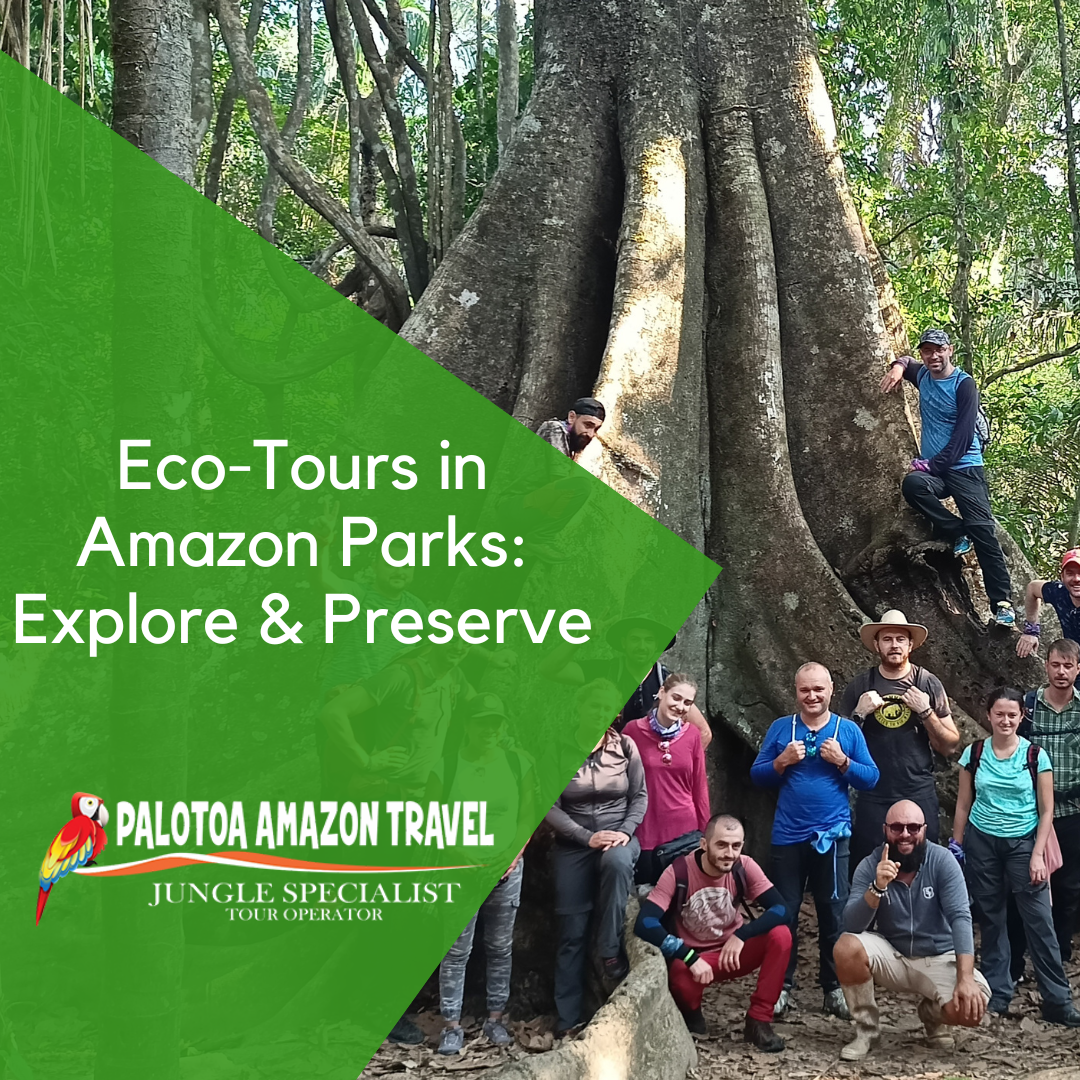 Eco-Tours in Amazon Parks: Explore & Preserve