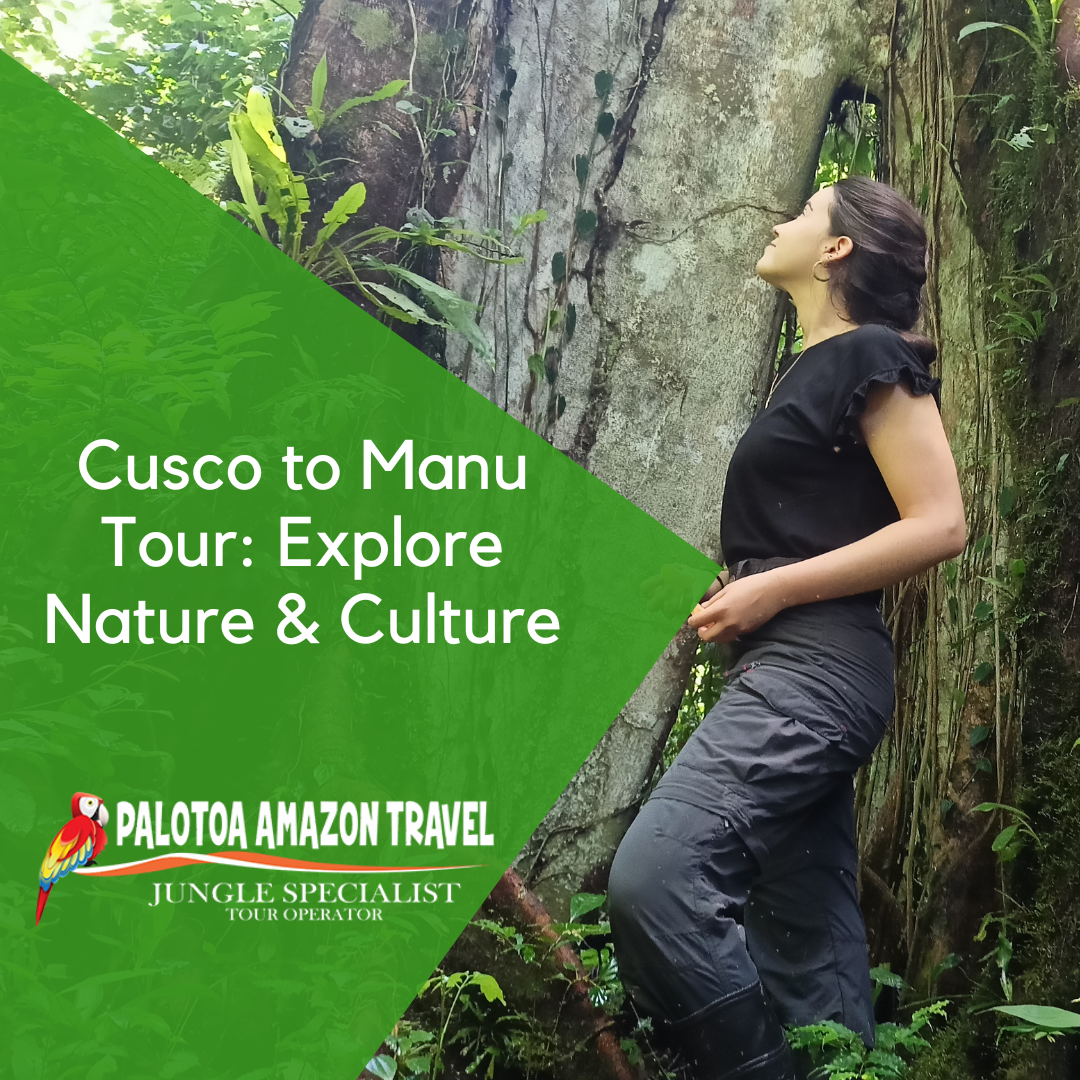 Cusco to Manu Tour: Explore Nature & Culture