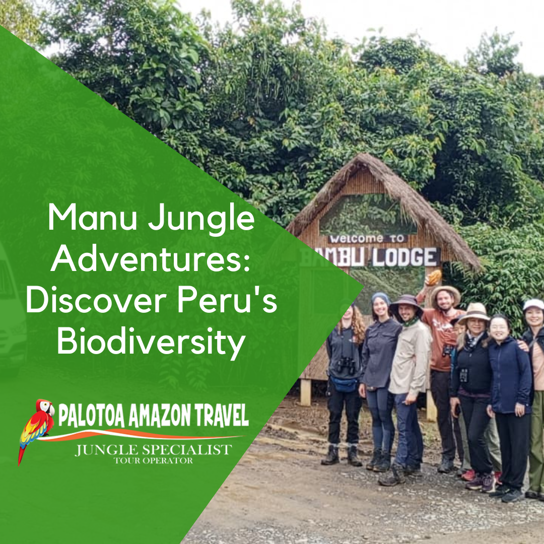 Manu Jungle Adventures: Discover Peru's Biodiversity