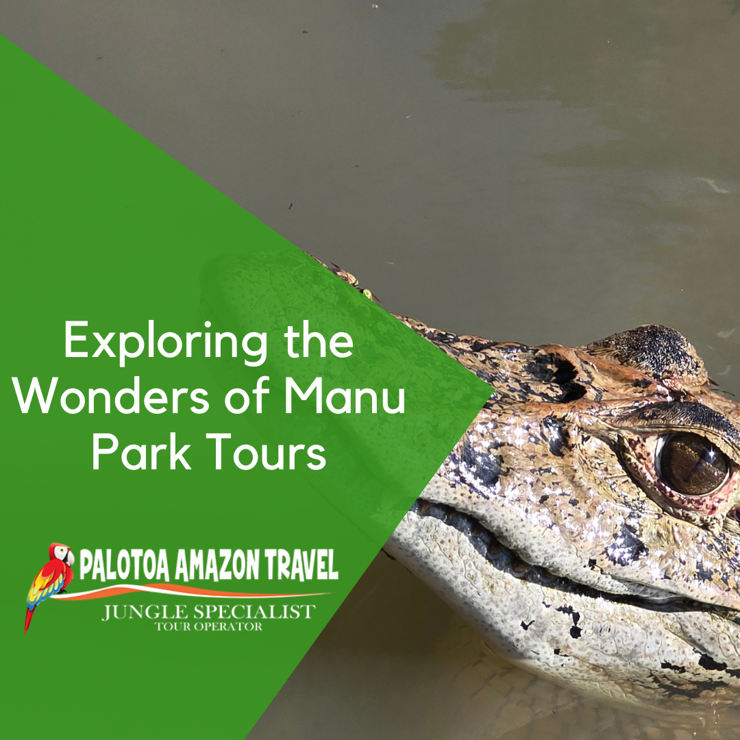 Exploring the Wonders of Manu Park Tours