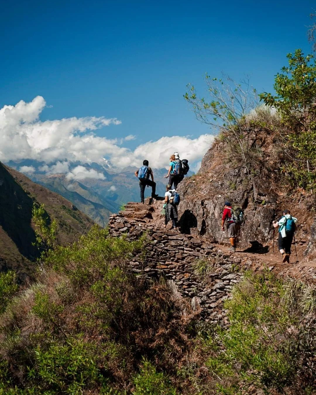 inca trail palotoa