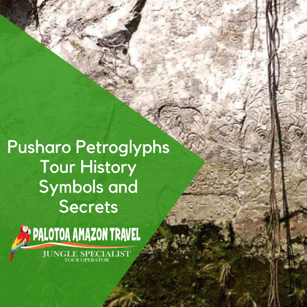 Pusharo Petroglyphs