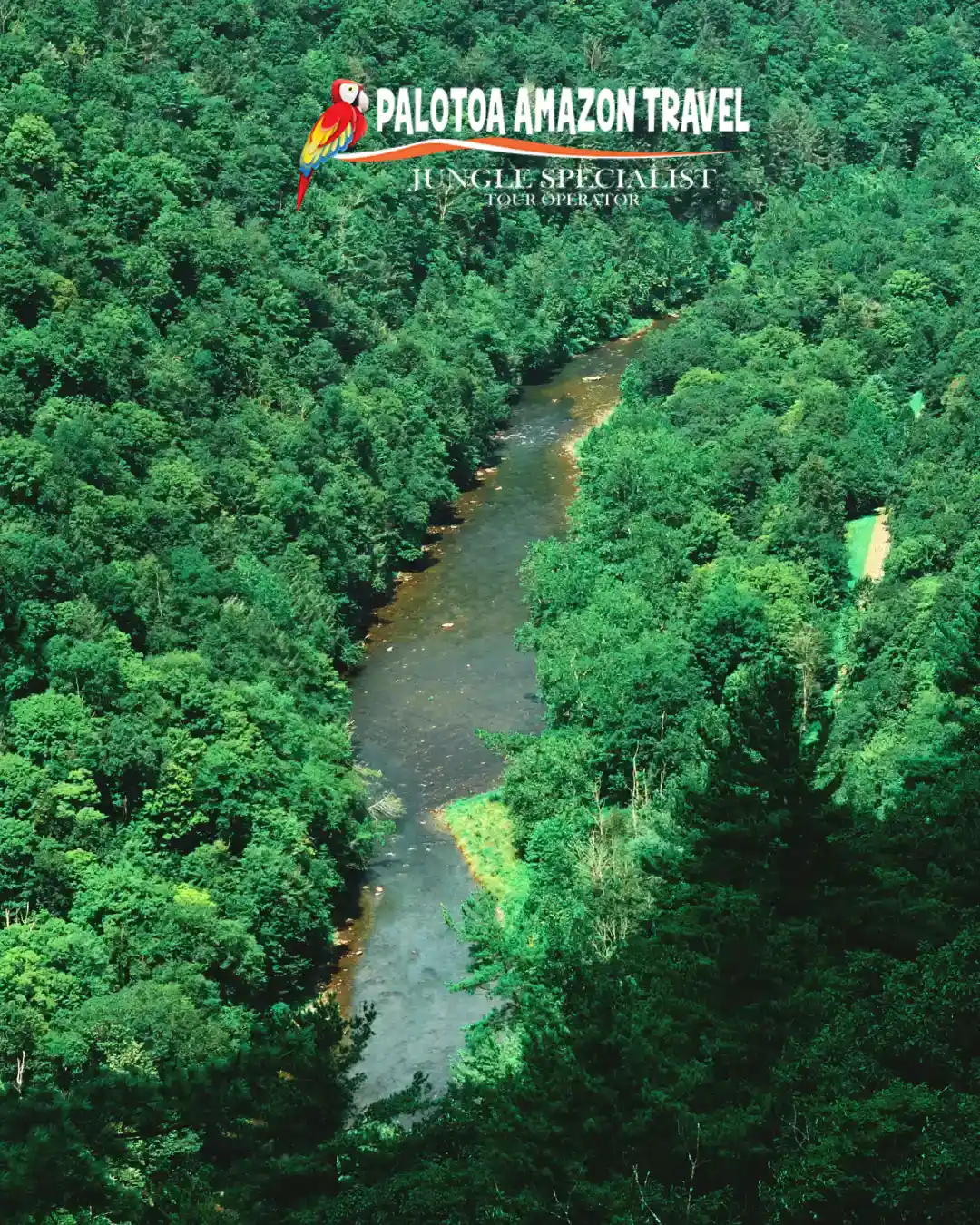 Manu reserved zone river