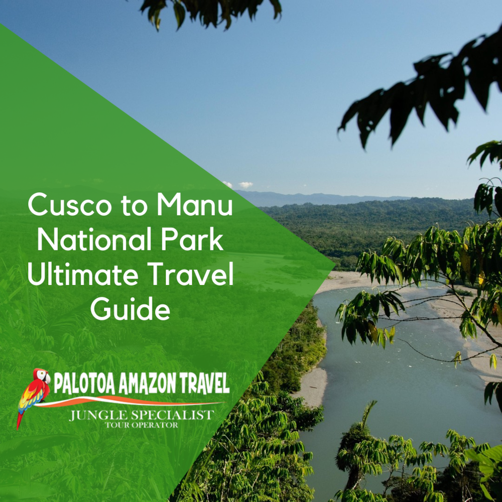 Cusco to Manu National Park