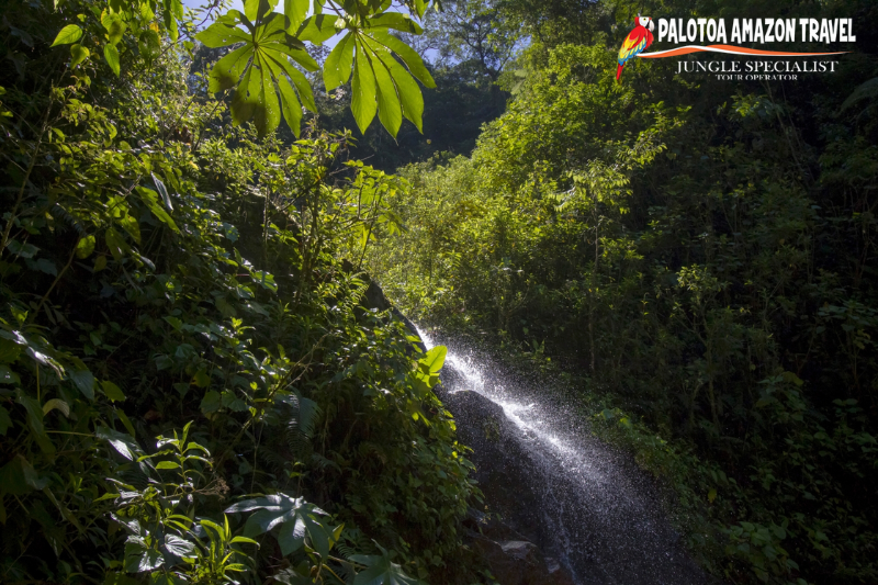 Manu UNESCO Biosphere Reserve