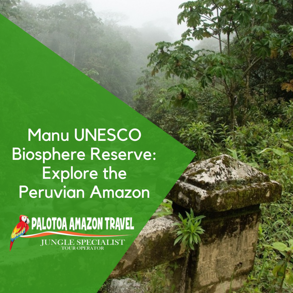 Manu UNESCO Biosphere Reserve.