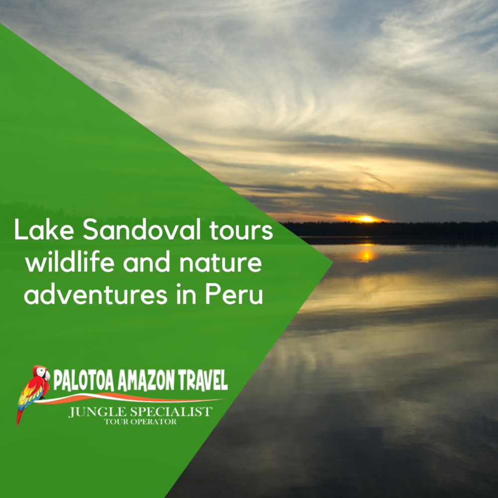 Lake Sandoval Tours