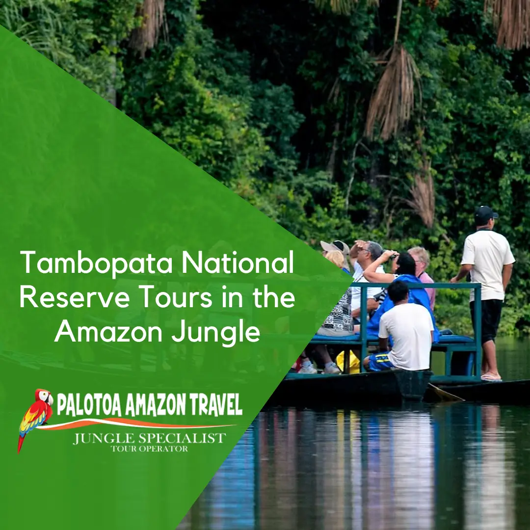 amazon jungle tours