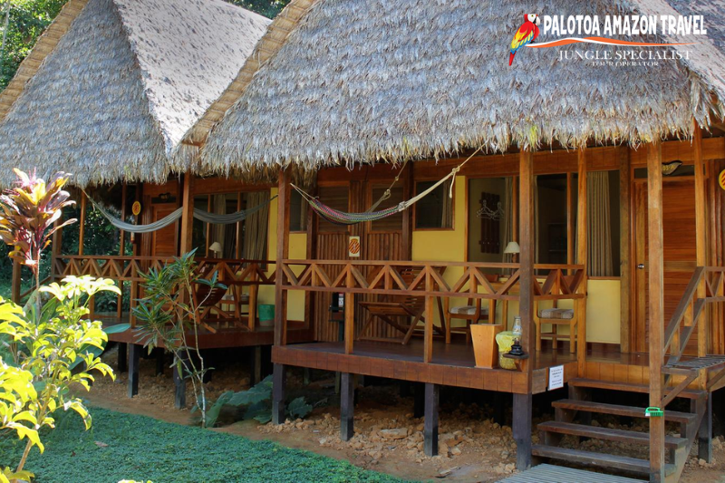 Safety in the Amazon Jungle