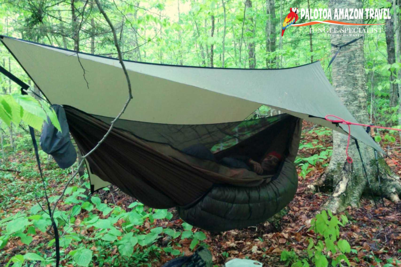 Safety in the Amazon Jungle