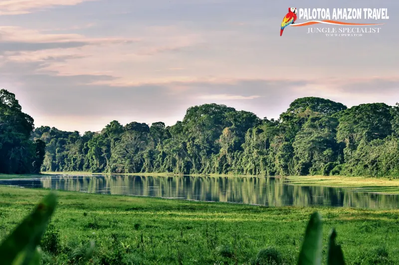 manu biosphere reserve 