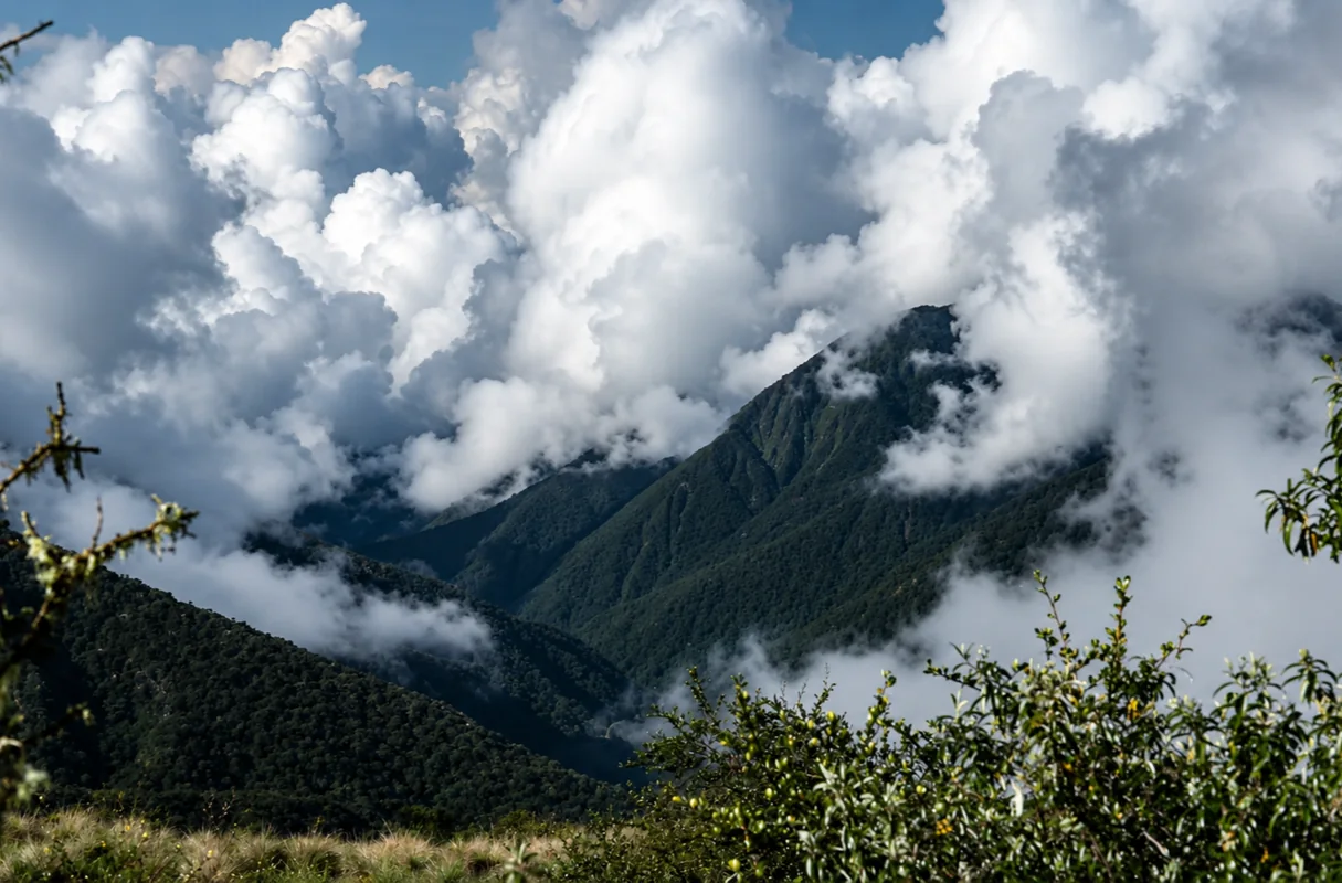 Why the peruvian amazon is one of the best places to visit in the amazon