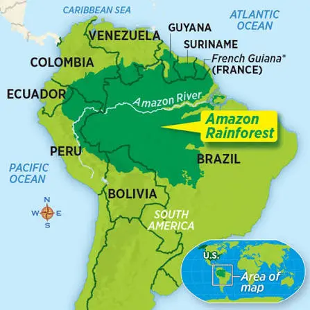 Amazon Rainforest Map: Where Is the Amazon Located?