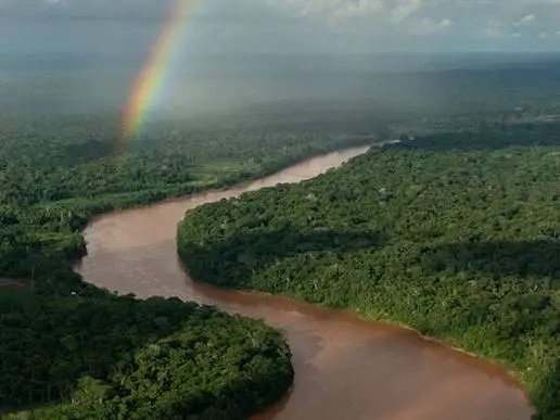 Does it rain every day in the Amazon rainforest?