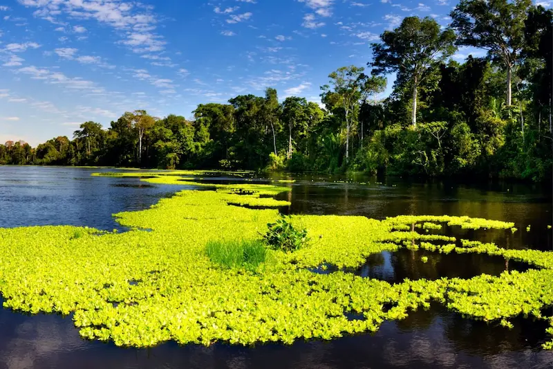 Holiday Destinations to Discover the Best of Peru 