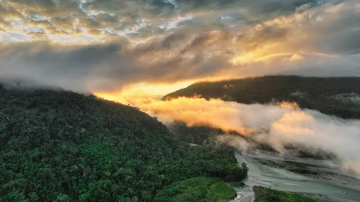 How rain changes your experience in the Amazon