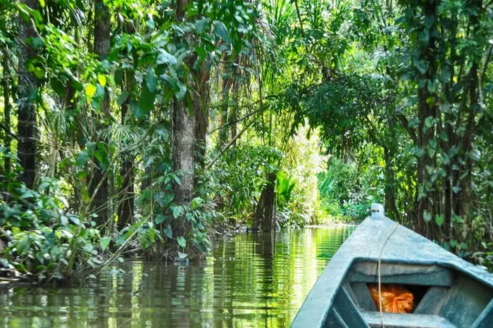 Should you worry about rain in the amazon rainforest?