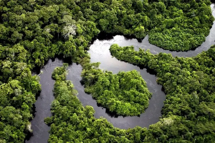Why Is the Peruvian Amazon So Special?