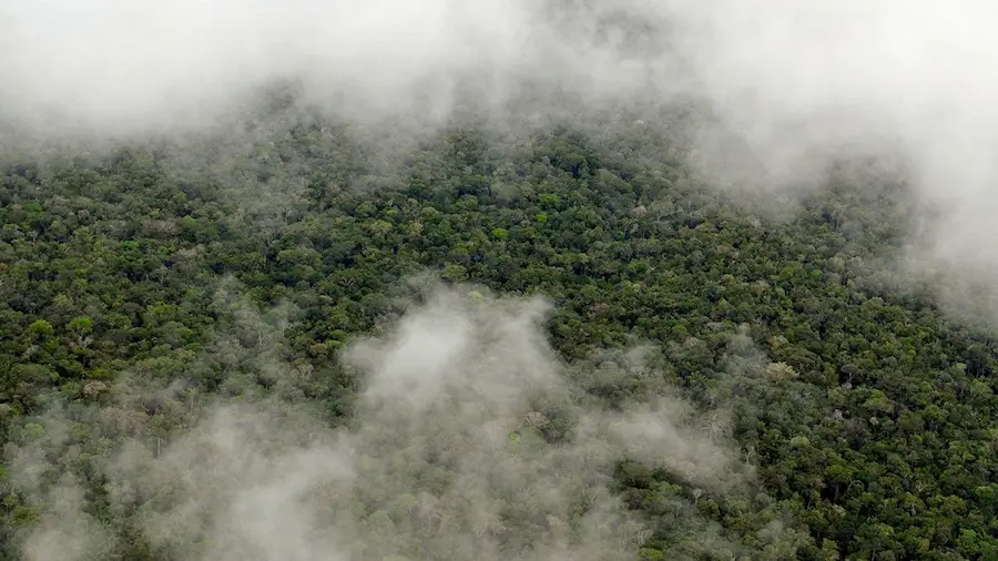 Why does it rain so much in the amazon rainforest?