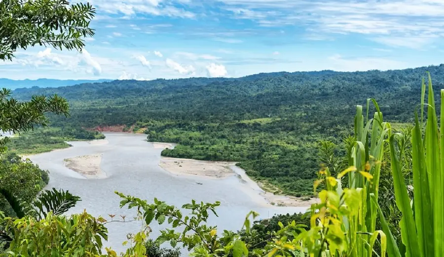 Best Time to See Animals of the Amazon Rainforests