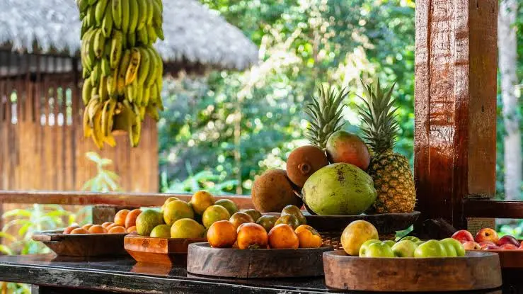 The Connection Between Amazonian Food and Rainforest Culture