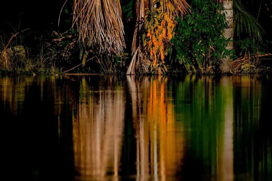 Amazonian Myths Are Closely Connected to Nature
