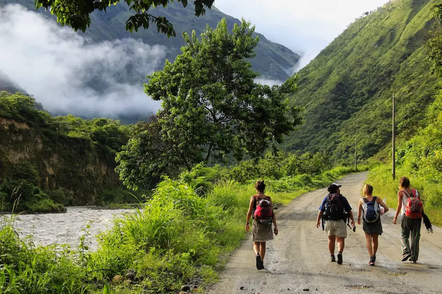 Could Jungle Trekking Be Your Next Adventure in Peru?