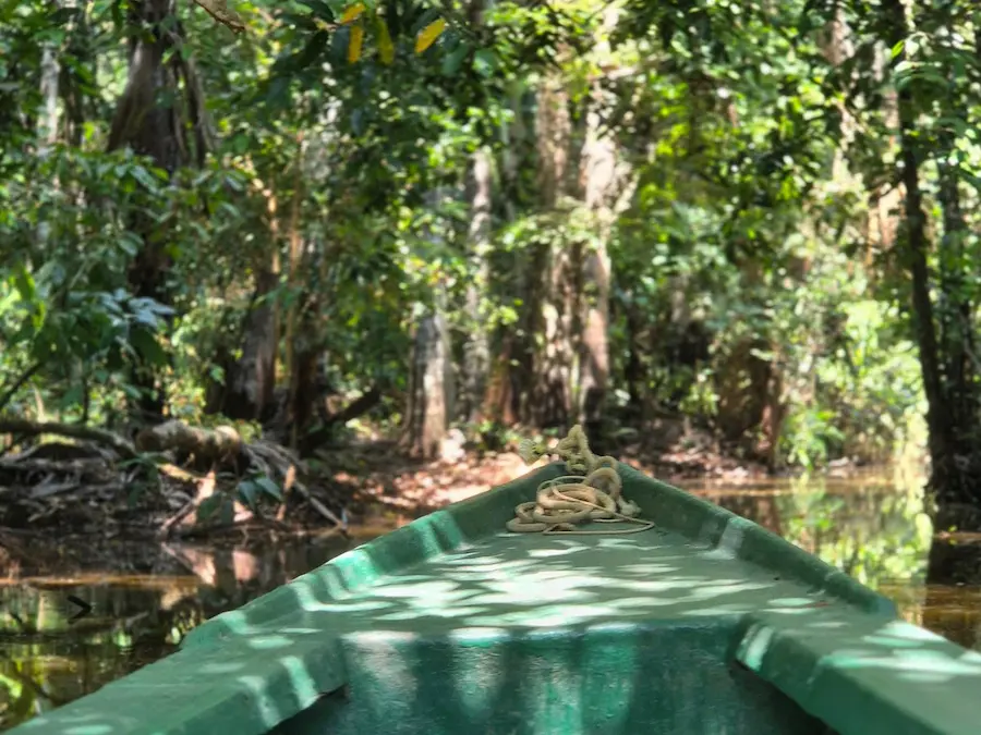Immersive Nature Experiences