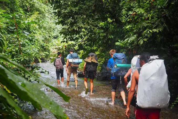 What Is Jungle Trekking Really Like?