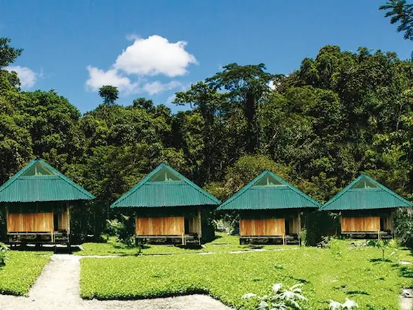 Palotoa Amazon Lodge on the banks of the Alto Madre de Dios River