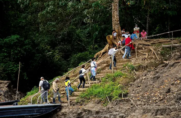 What Is Amazon Rainforest Ecotourism?