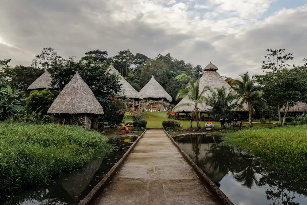 in the Peruvian Amazon In the Peruvian Amazon